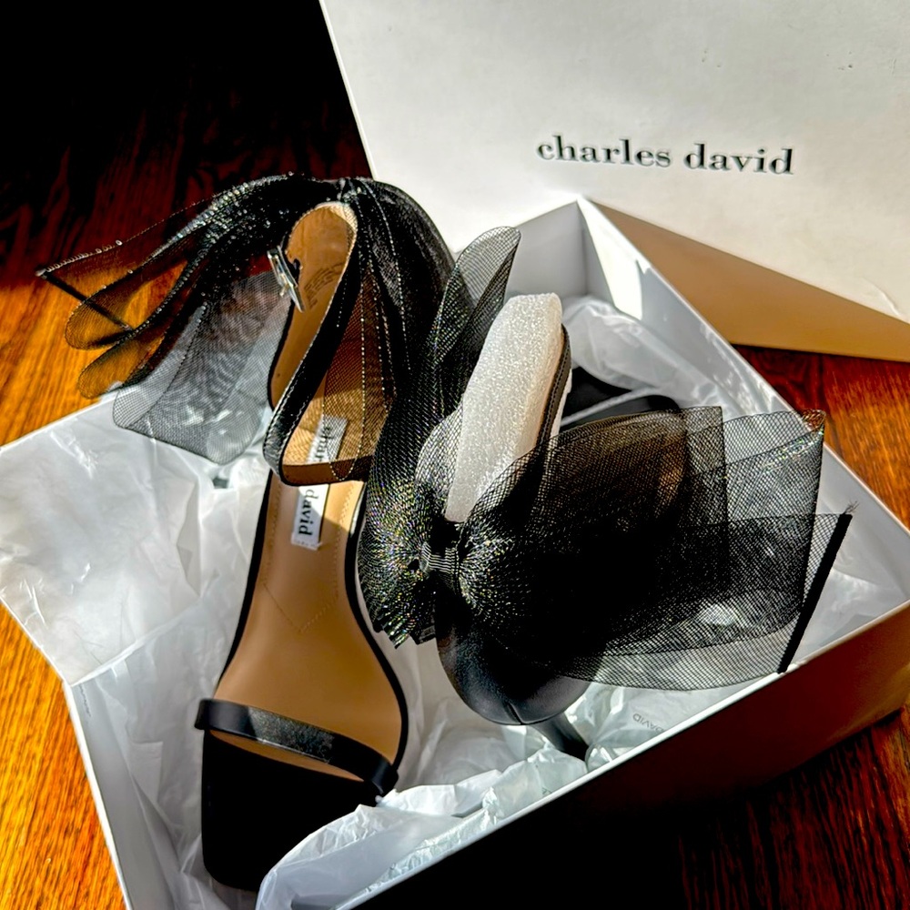 NEVER WORN Charles David Stiletto